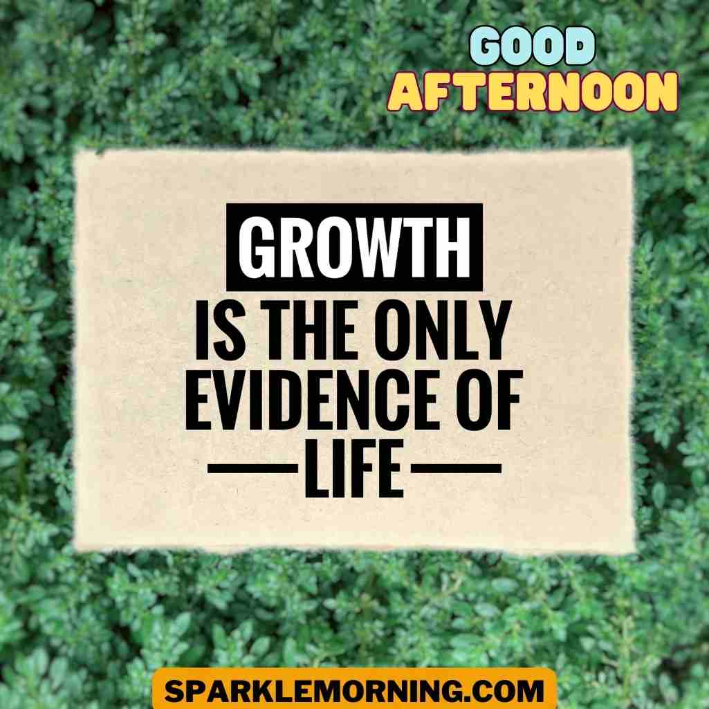 Good Afternoon Blessings Images and Quotes