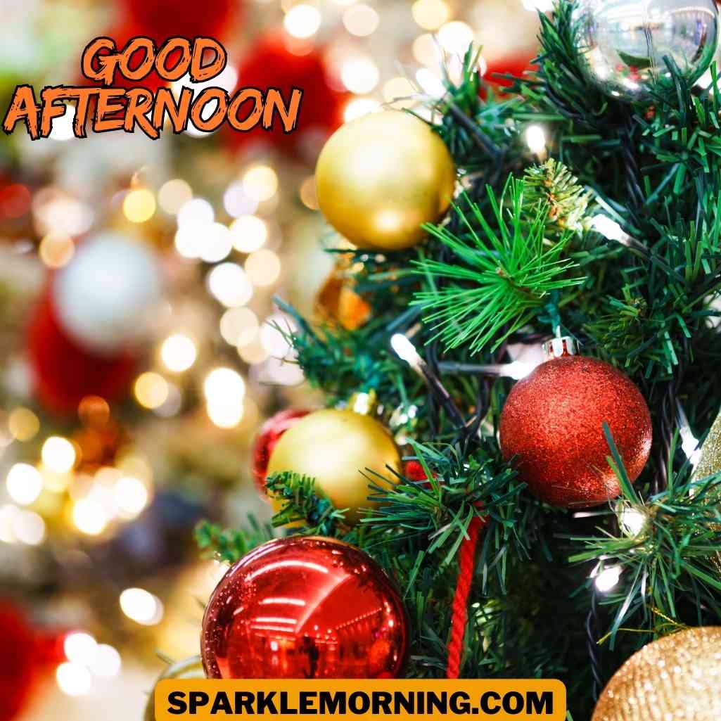 Good Afternoon Christmas Images