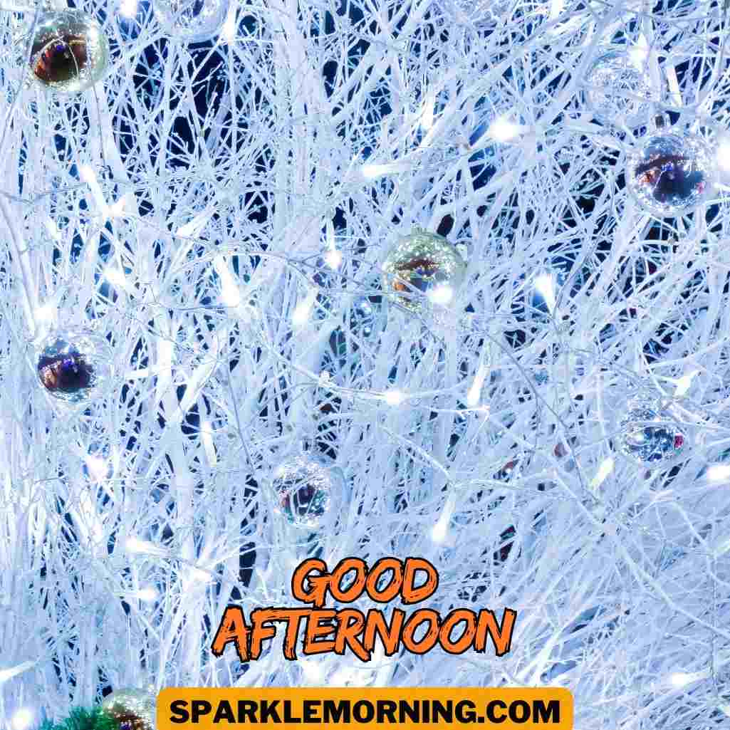 Good Afternoon Christmas Images