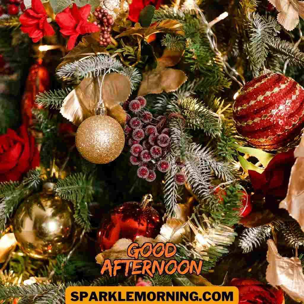 Good Afternoon Christmas Images