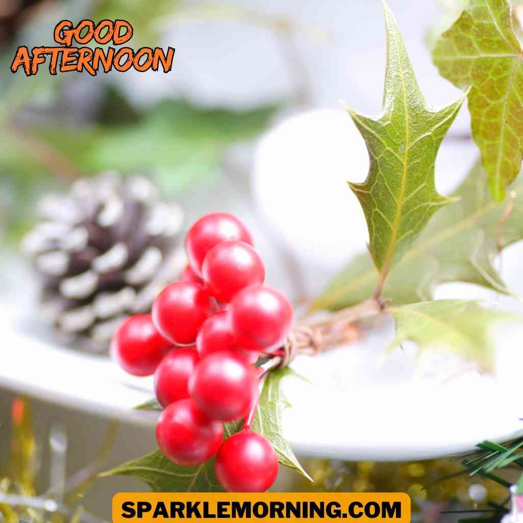 Good Afternoon Christmas Images