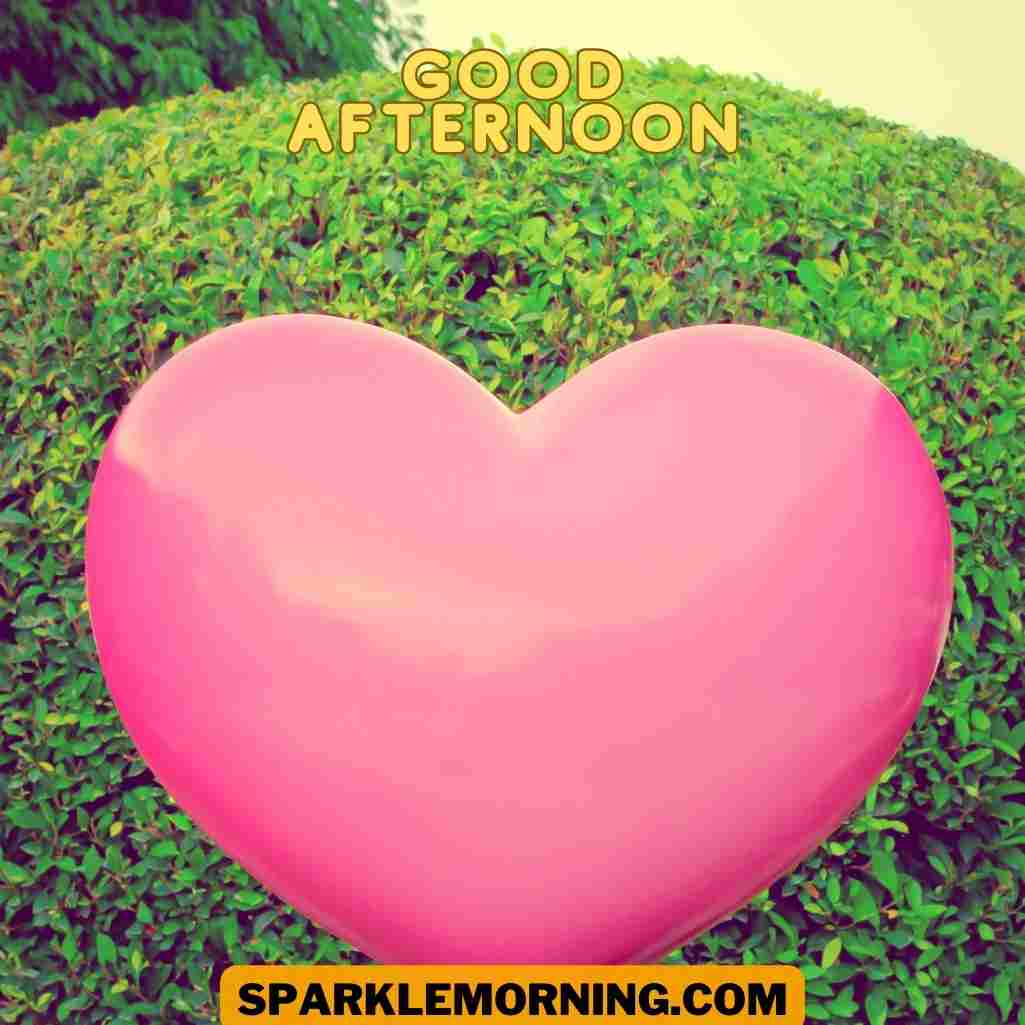 Good Afternoon Love Images