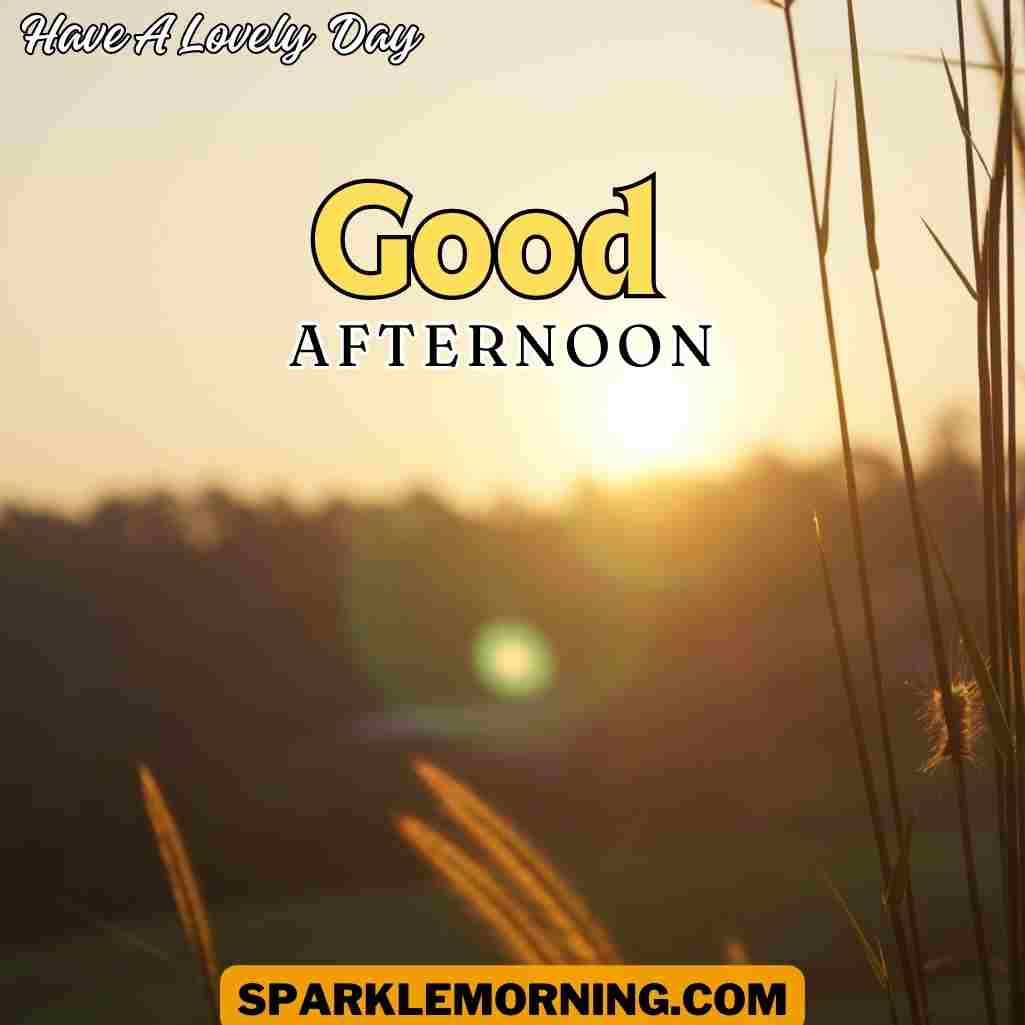 Good Afternoon Saturday Images