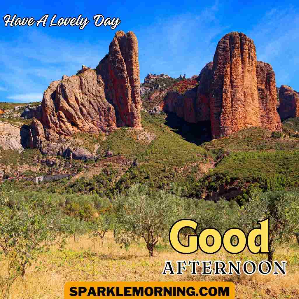 Good Afternoon Saturday Images