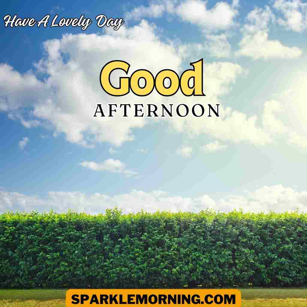 Good Afternoon Saturday Images