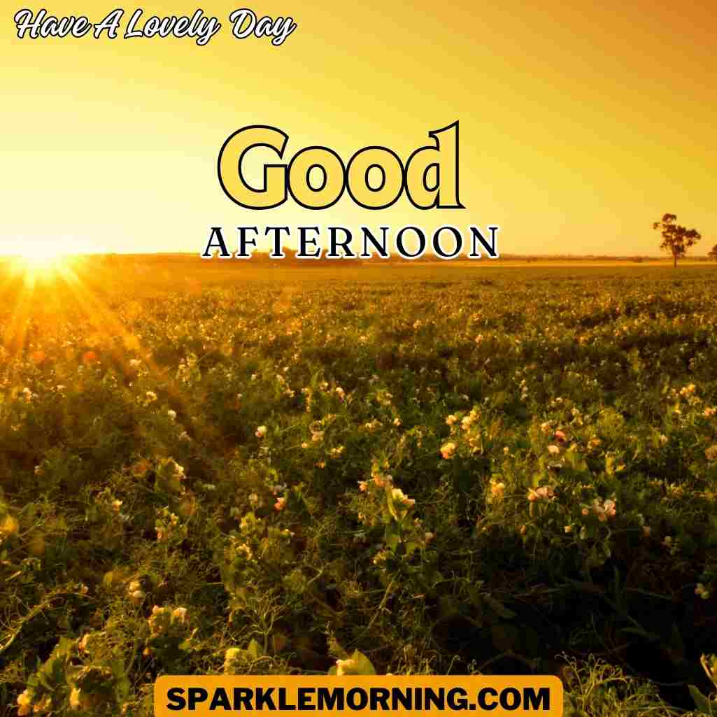 Good Afternoon Saturday Images