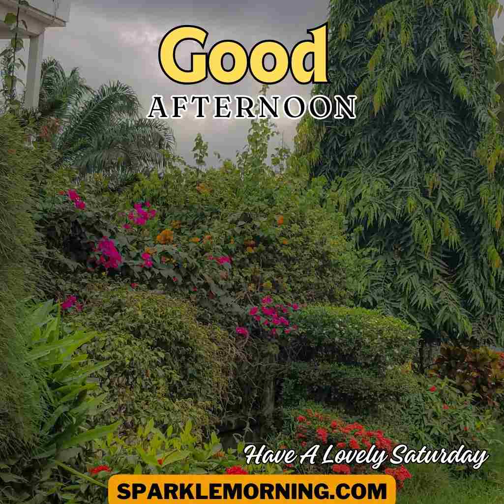 Good Afternoon Saturday Images