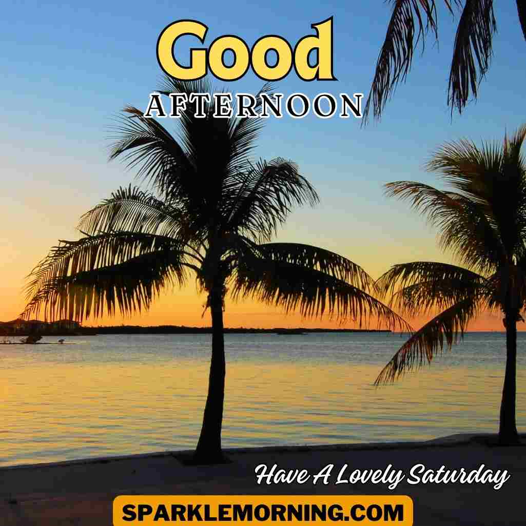 Good Afternoon Saturday Images