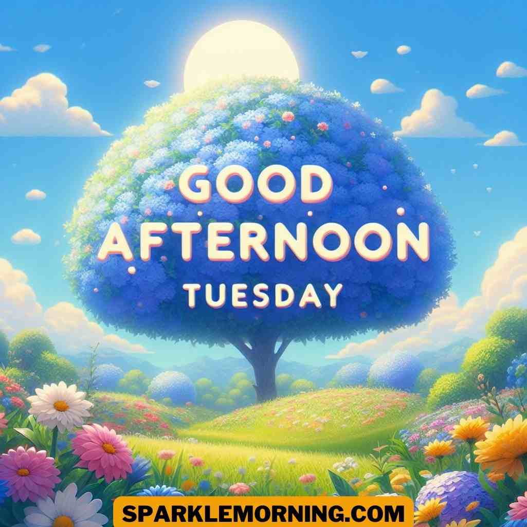 Good Afternoon Tuesday Images
