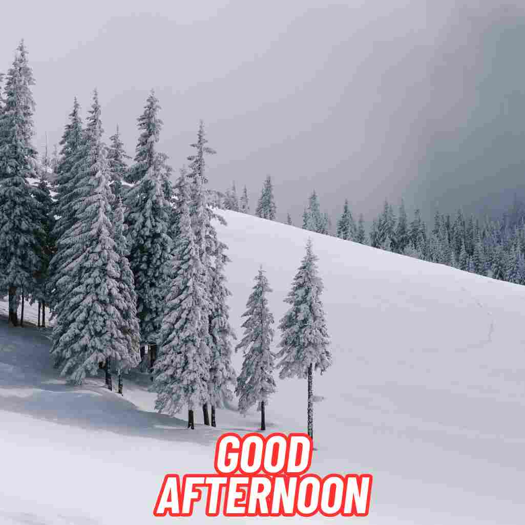 Good Afternoon Winter Images