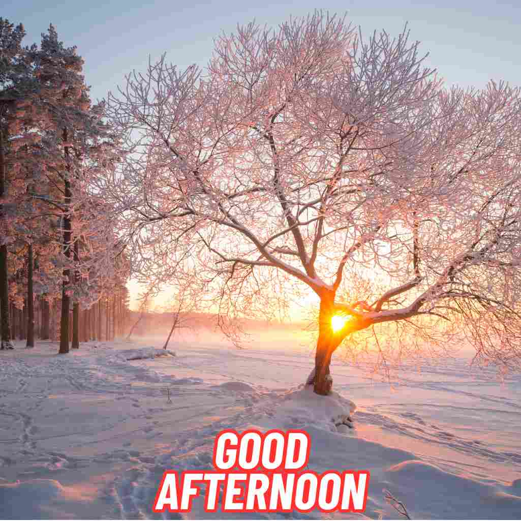 Good Afternoon Winter Images