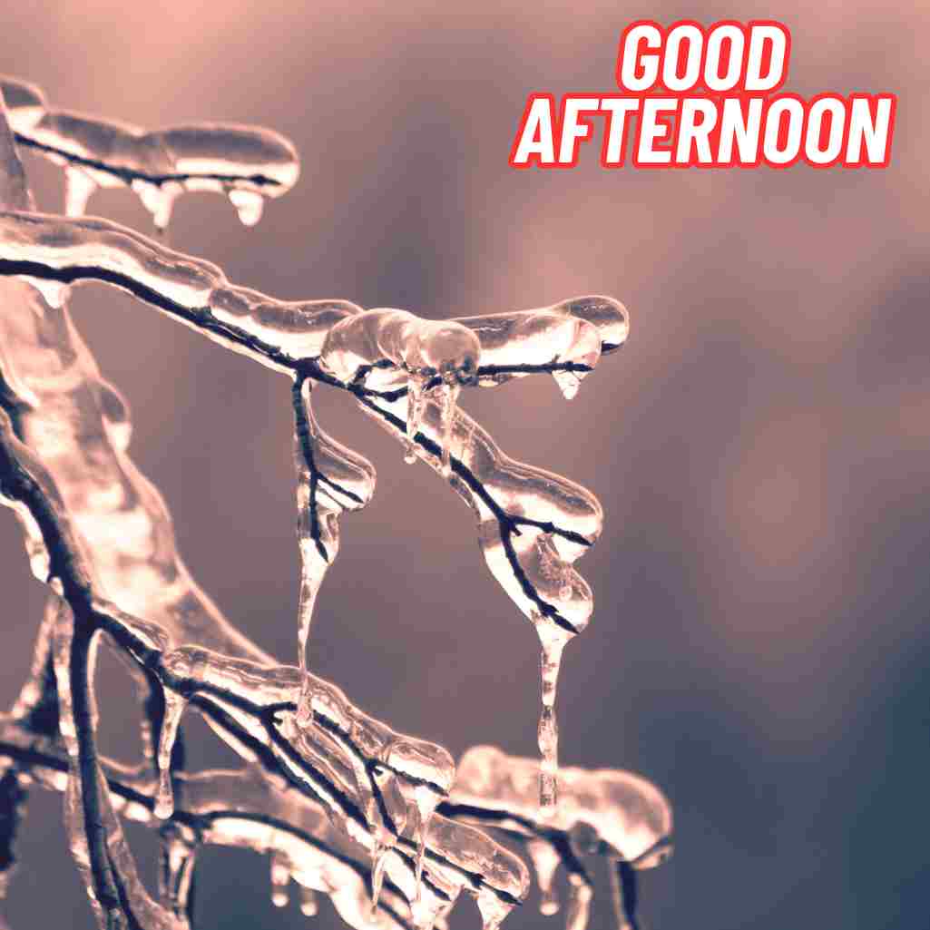Good Afternoon Winter Images