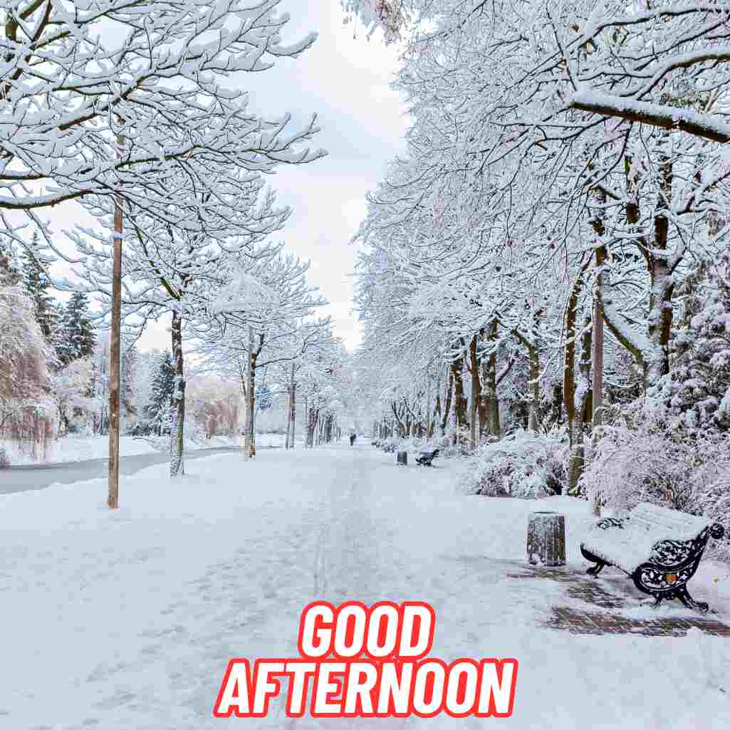 Good Afternoon Winter Images
