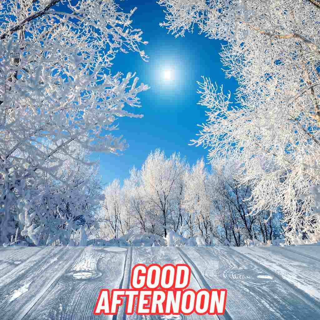 Good Afternoon Winter Images