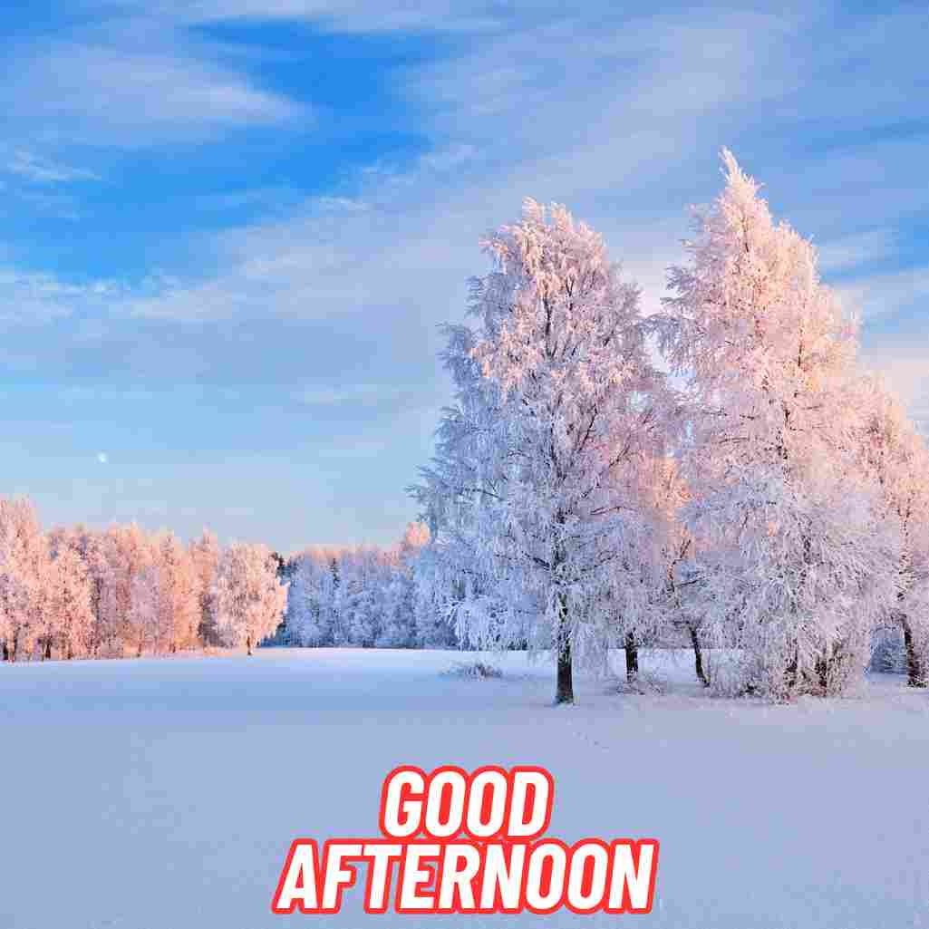 Good Afternoon Winter Images