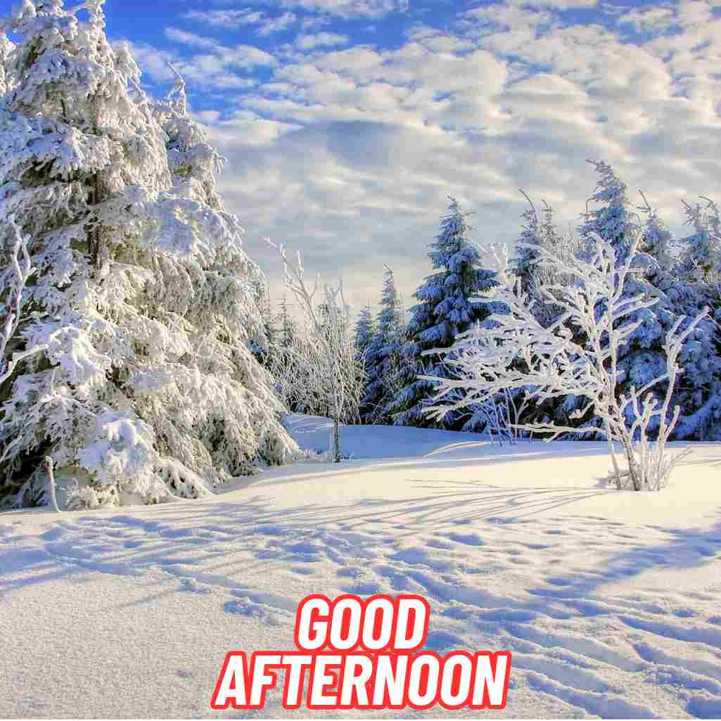 Good Afternoon Winter Images