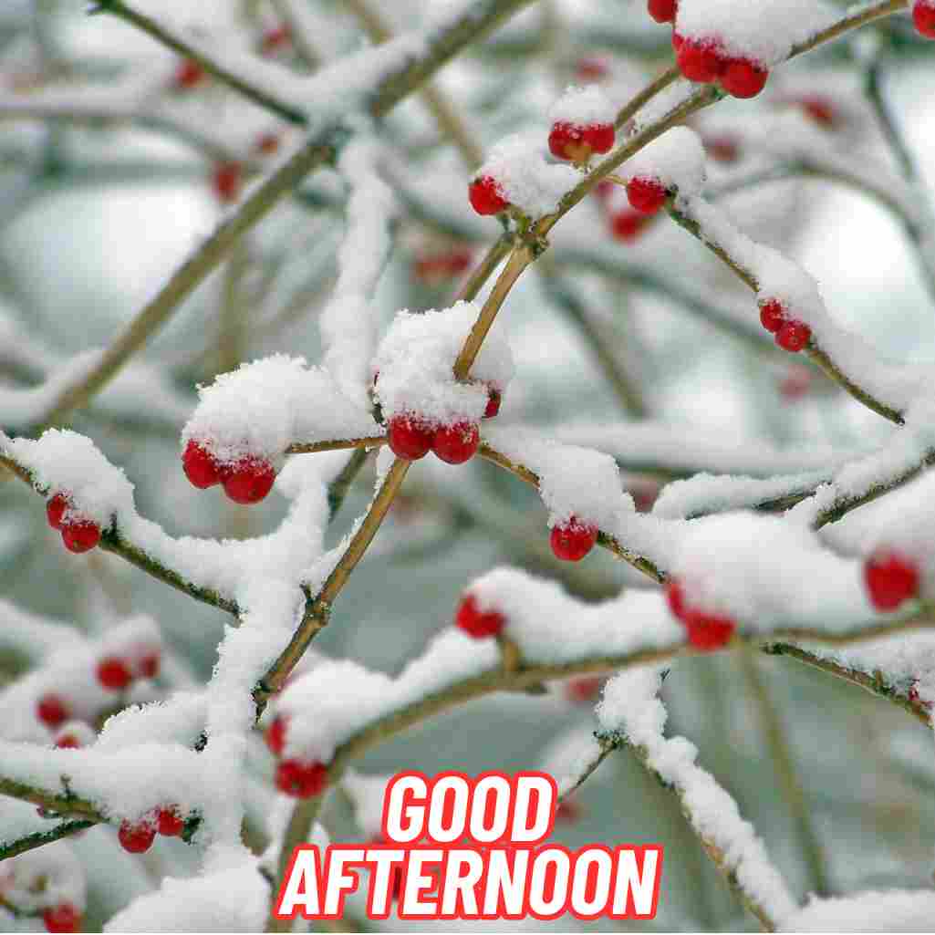 Good Afternoon Winter Images