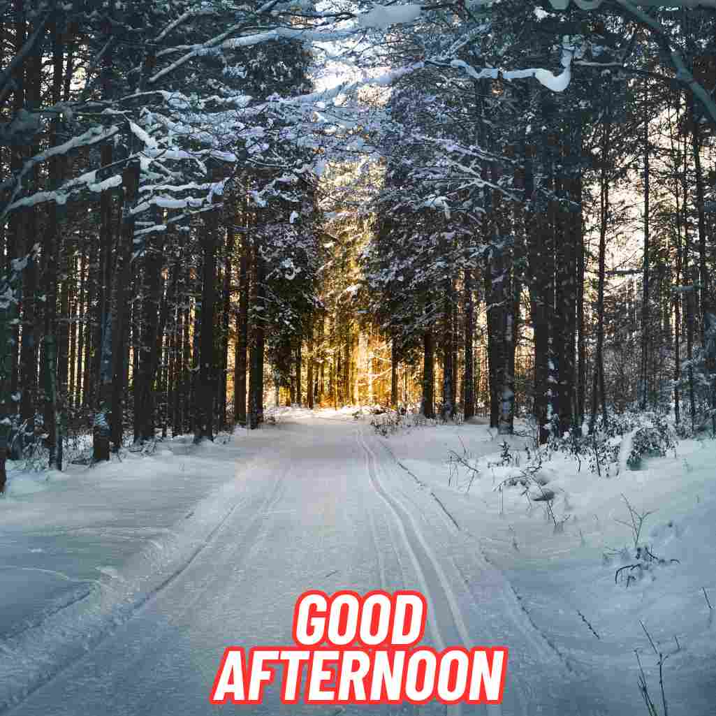 Good Afternoon Winter Images