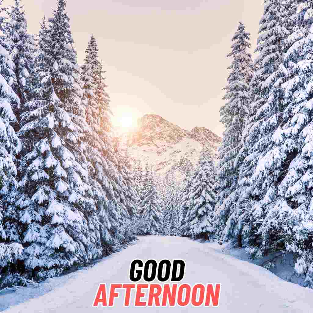 Good Afternoon Winter Images