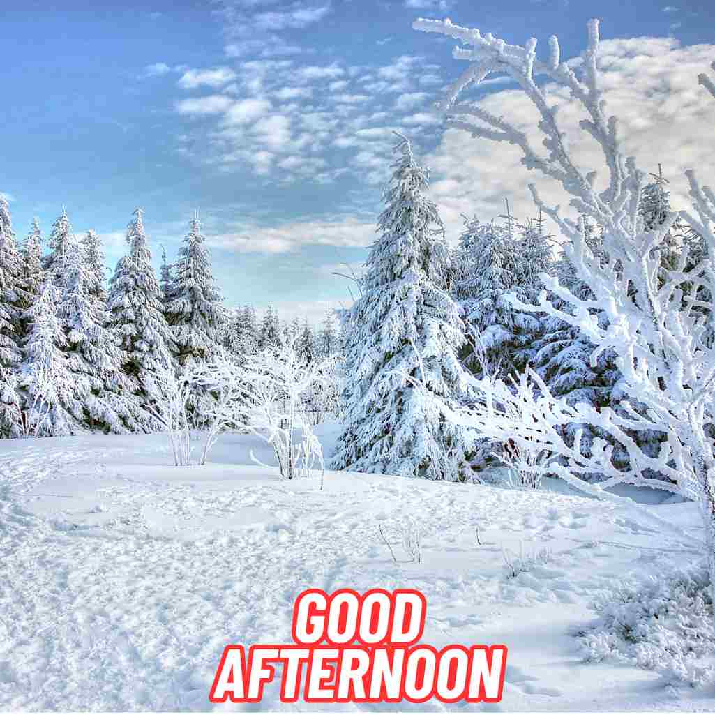 Good Afternoon Winter Images