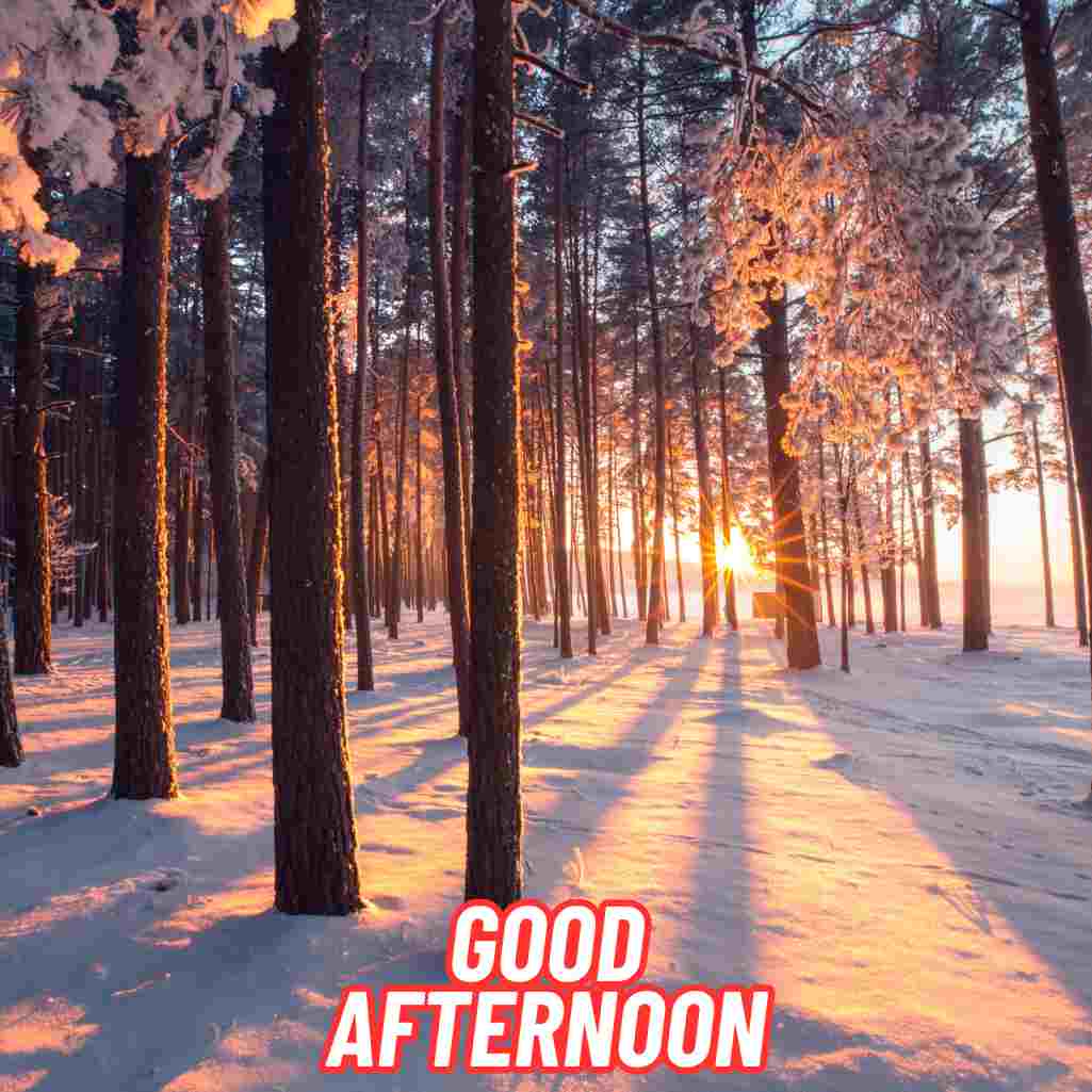 Good Afternoon Winter Images