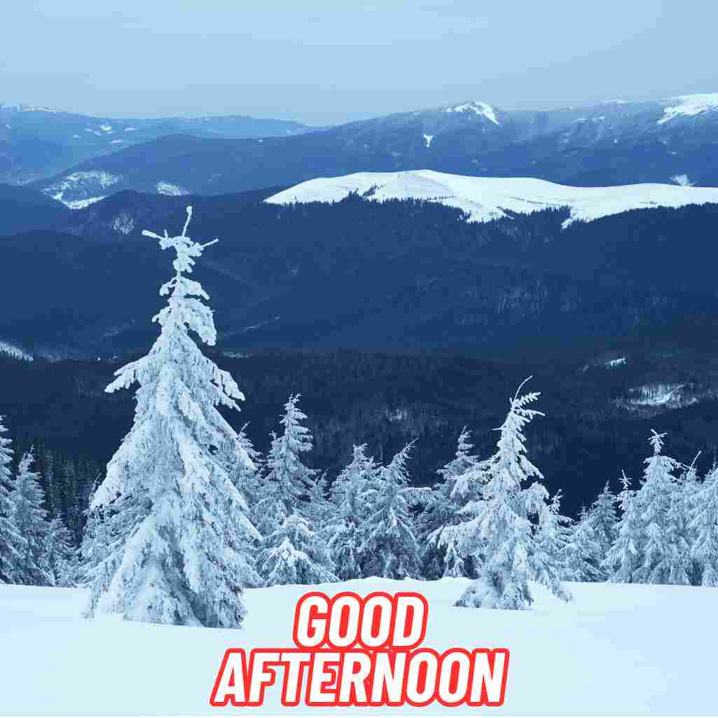Good Afternoon Winter Images