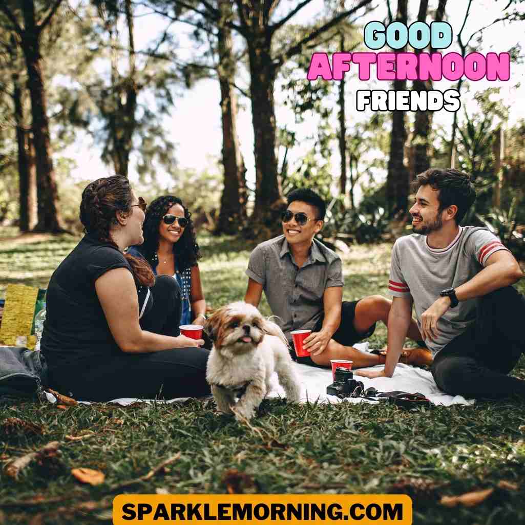 good afternoon friends images