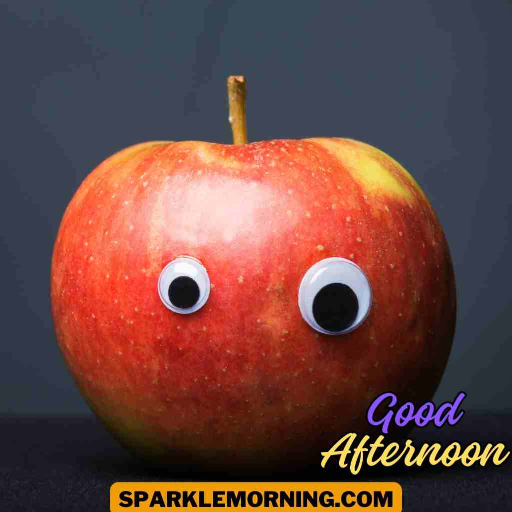 good afternoon funny images