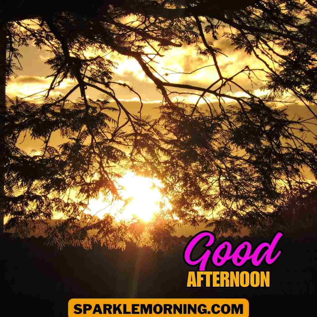 good afternoon images