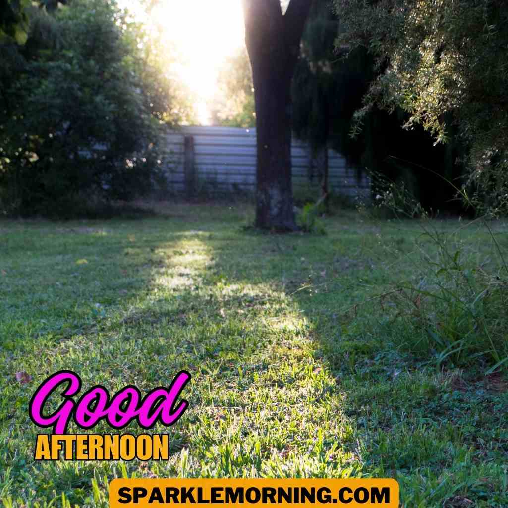 good afternoon images