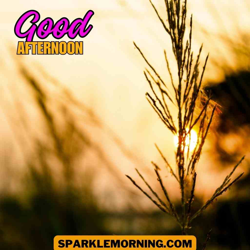 good afternoon images