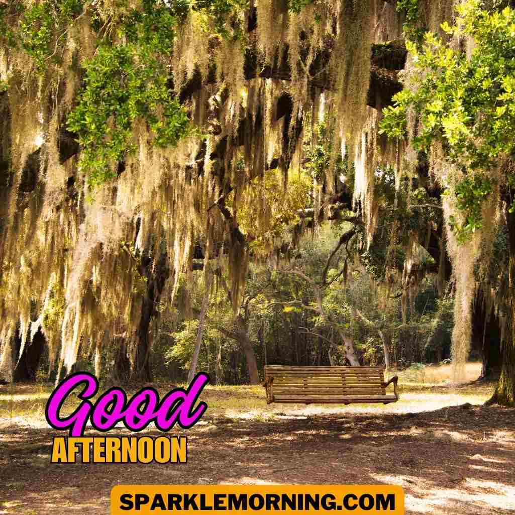 good afternoon images