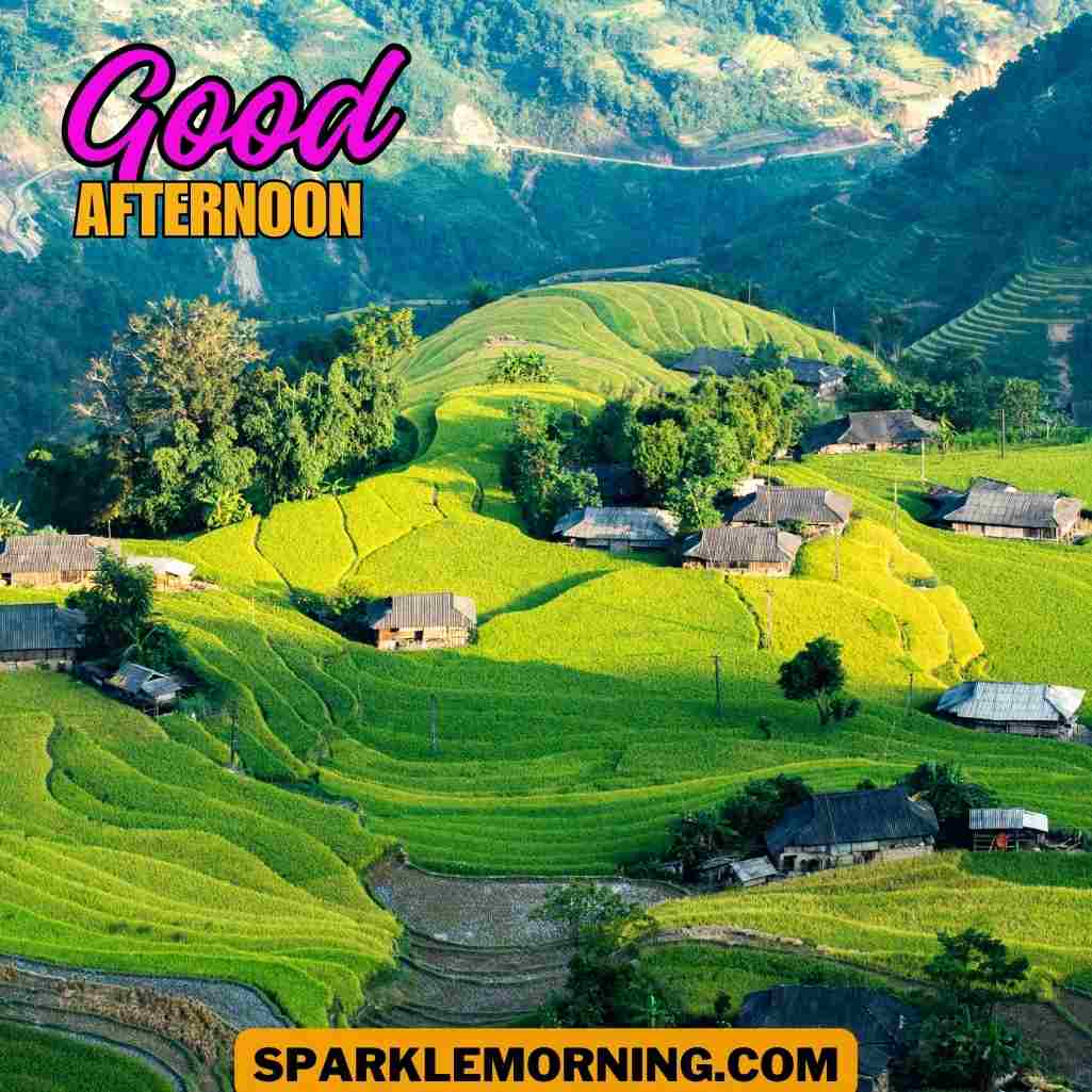 good afternoon images