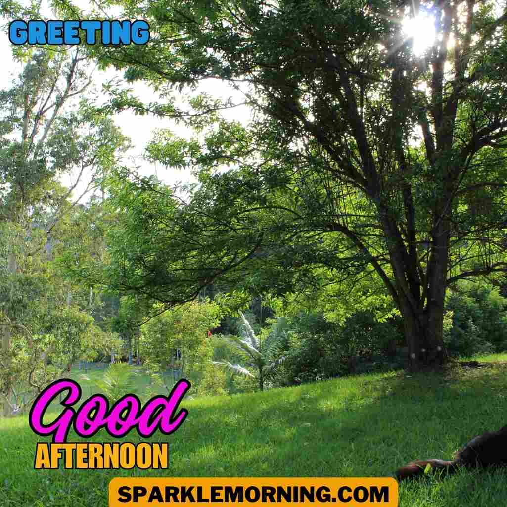 good afternoon images