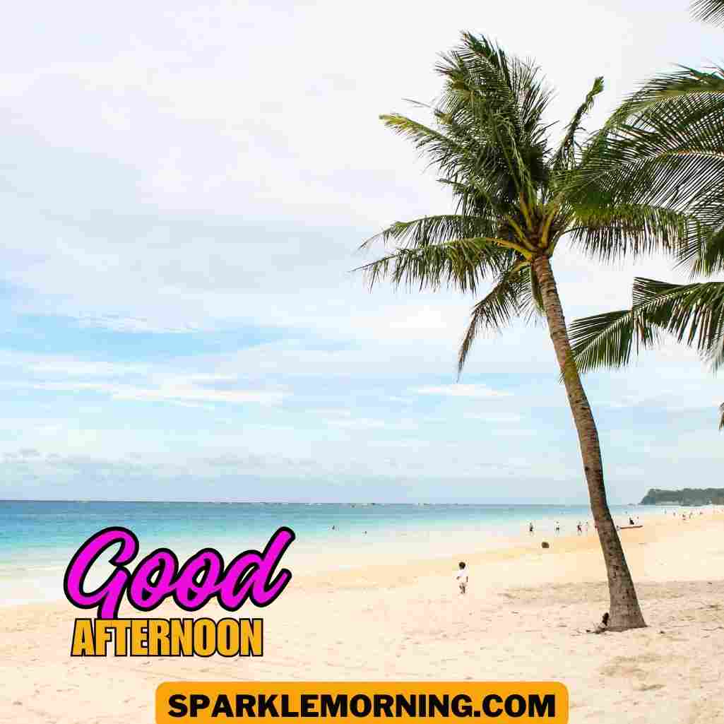 good afternoon images