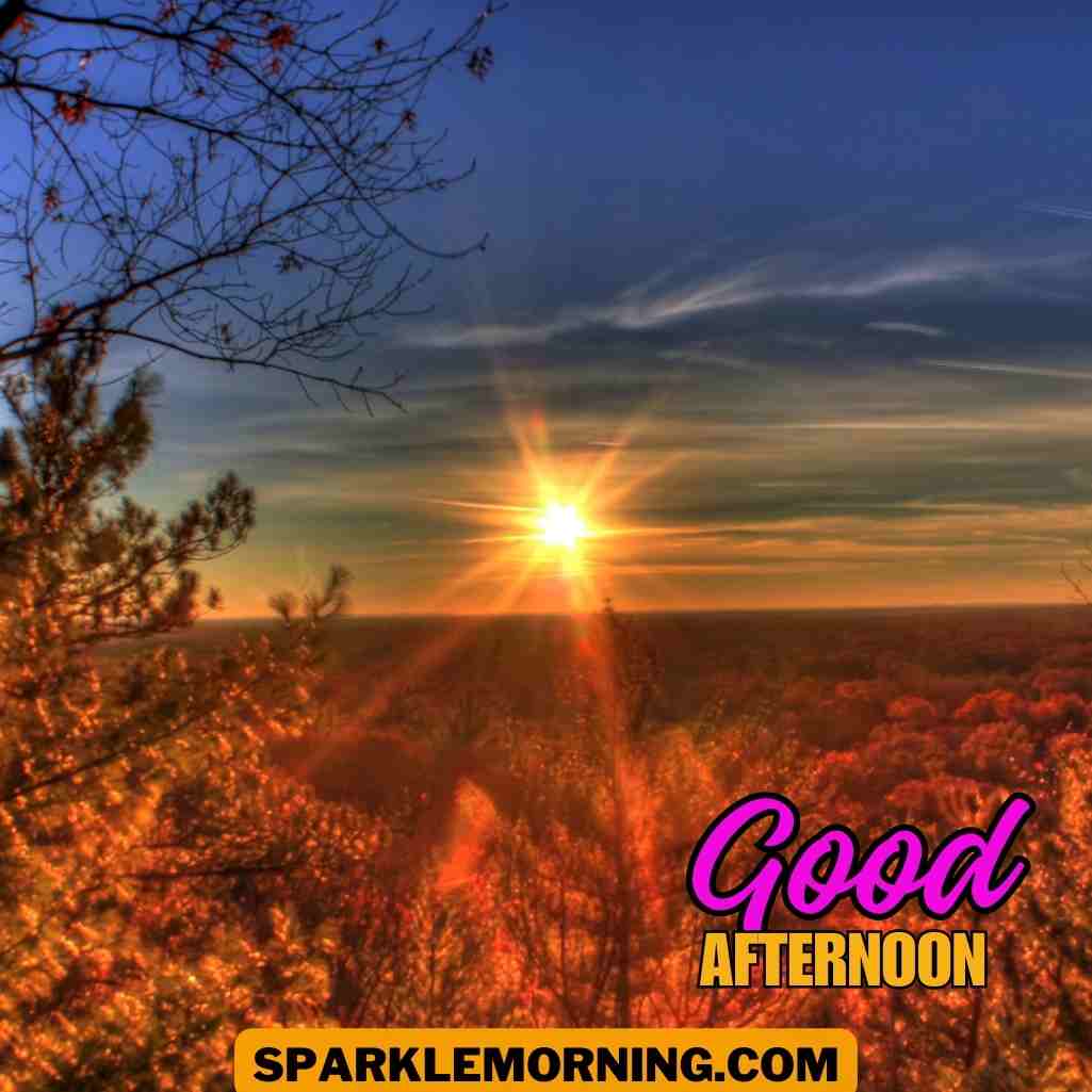 good afternoon images