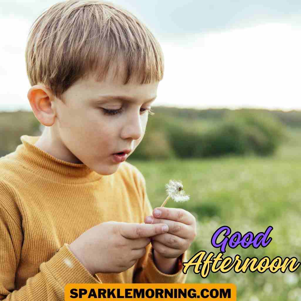 good afternoon lunch images