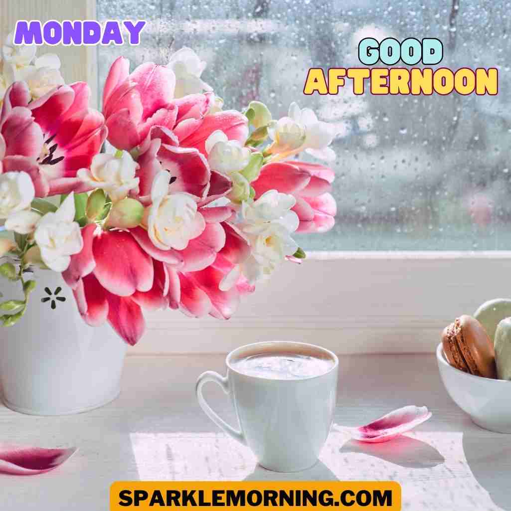 good afternoon monday images