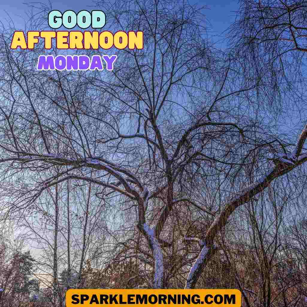 good afternoon monday images