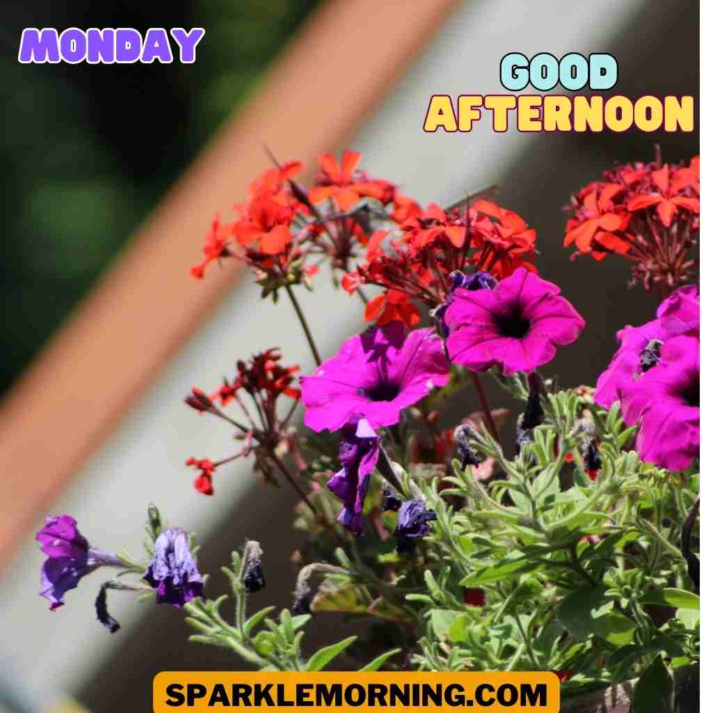 good afternoon monday images