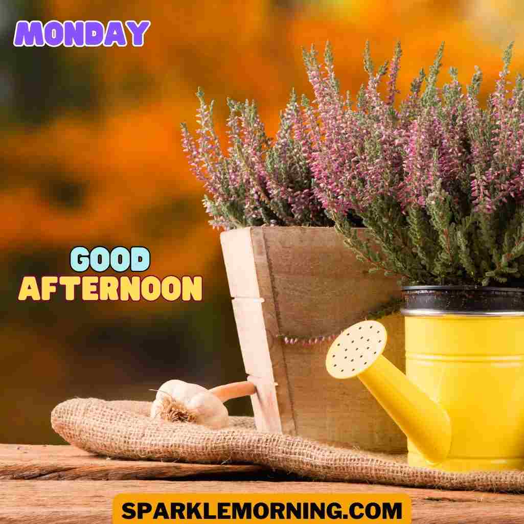 good afternoon monday images