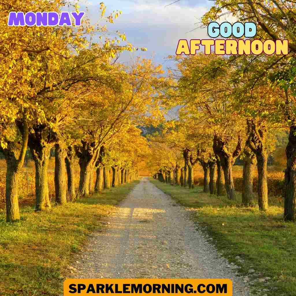 good afternoon monday images
