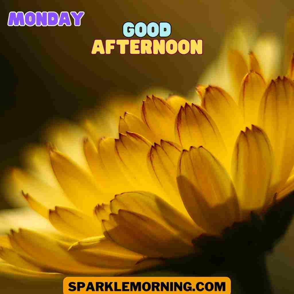 good afternoon monday images