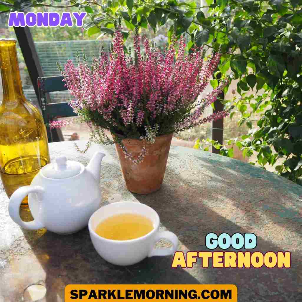 good afternoon monday images