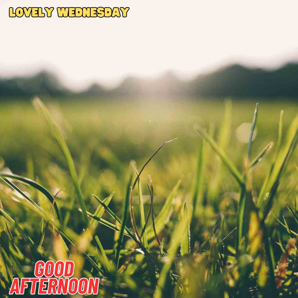 good afternoon wednesday images