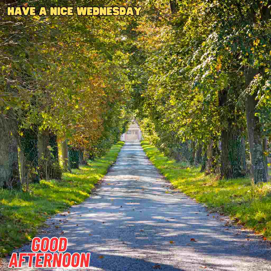 good afternoon wednesday images