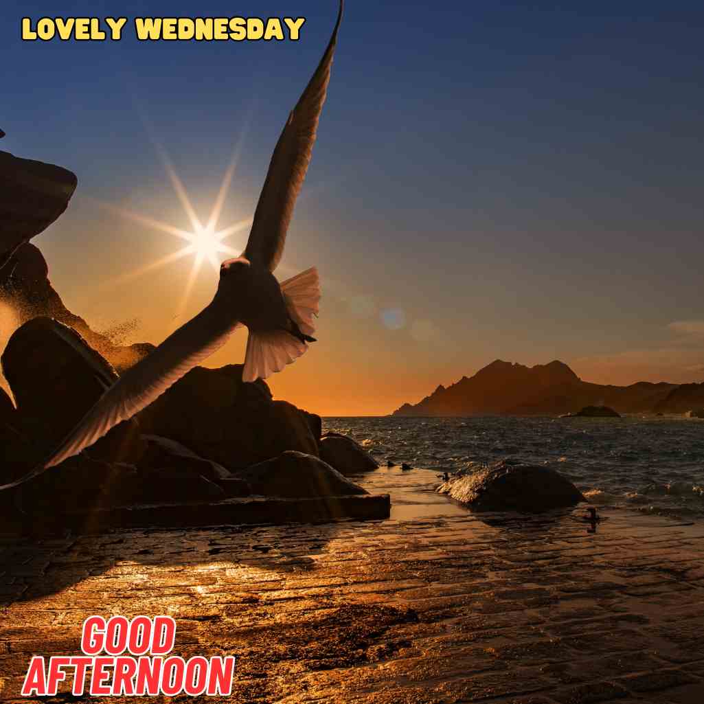 good afternoon wednesday images