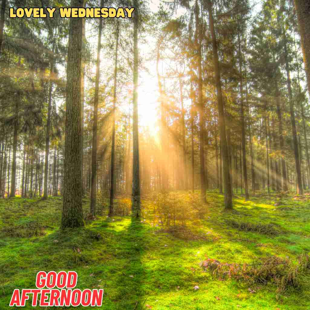 good afternoon wednesday images