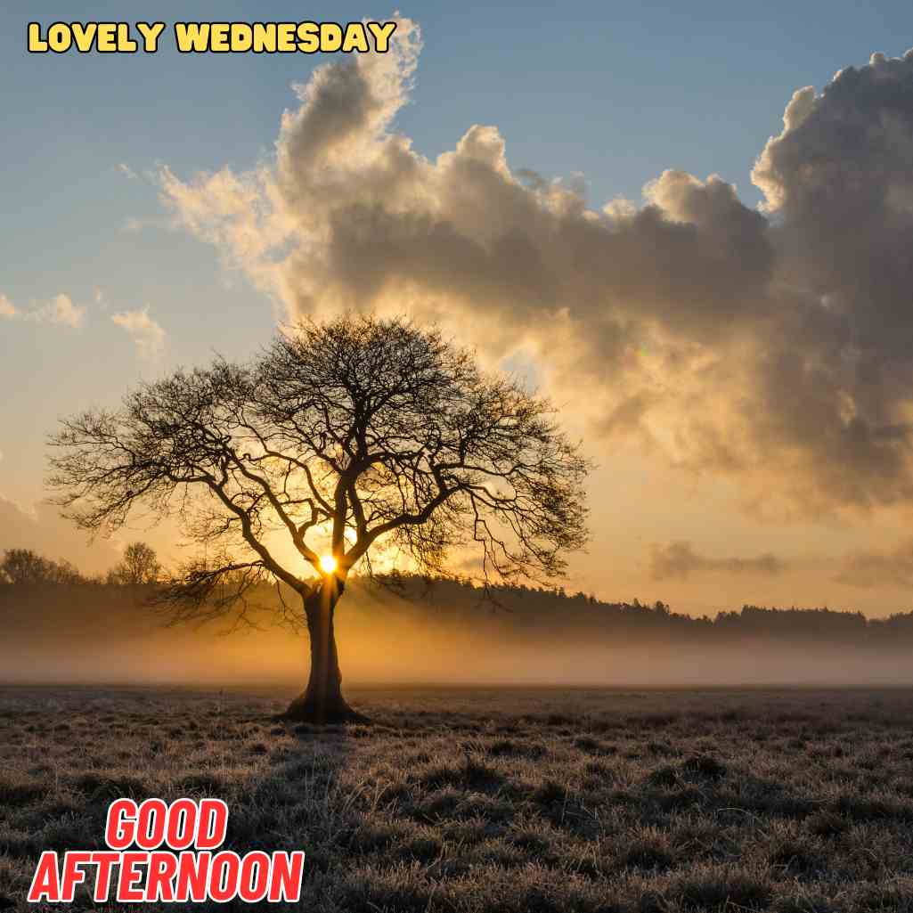 good afternoon wednesday images