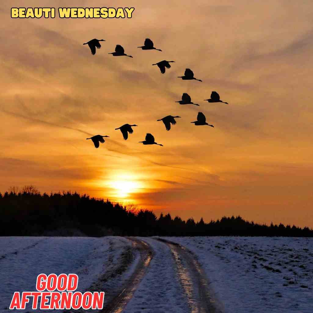 good afternoon wednesday images